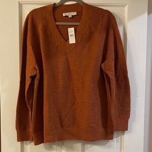 LOFT Terracotta V-Neck Sweater